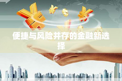 辽源便捷与风险并存的金融新选择