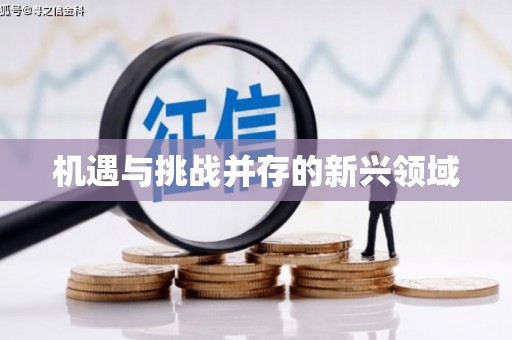 辽源机遇与挑战并存的新兴领域