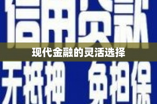 辽源现代金融的灵活选择