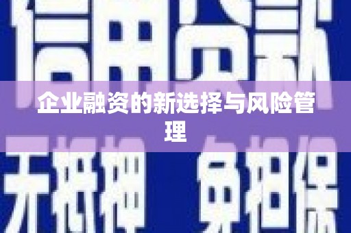 辽源企业融资的新选择与风险管理