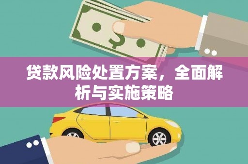 辽源贷款风险处置方案，全面解析与实施策略