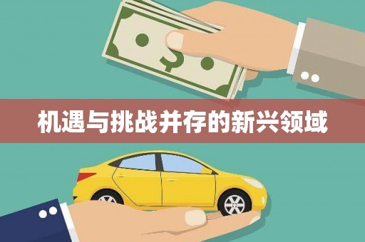 辽源机遇与挑战并存的新兴领域