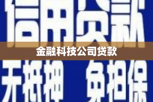 辽源金融科技公司贷款