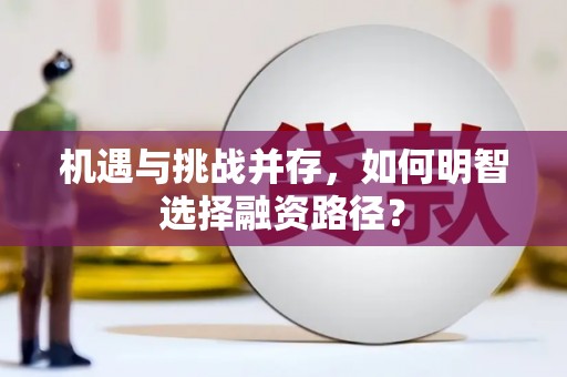 辽源机遇与挑战并存，如何明智选择融资路径？