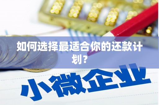 辽源如何选择最适合你的还款计划？