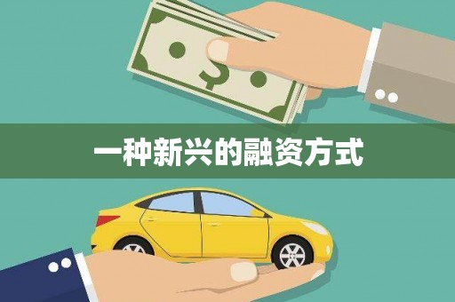 辽源一种新兴的融资方式