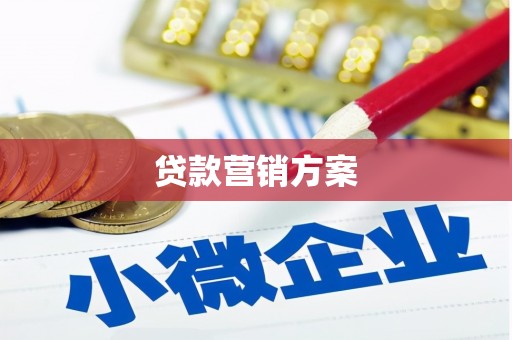 辽源贷款营销方案