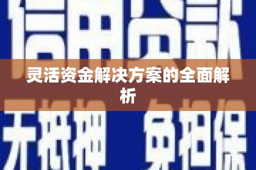 辽源灵活资金解决方案的全面解析