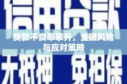 辽源贷款不良率攀升，金融风险与应对策略