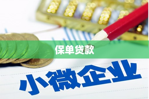 辽源保单贷款